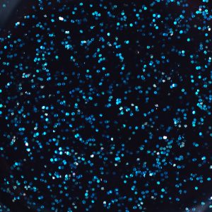 No 237 Platinum Sparkle (10g)