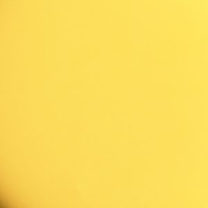 No 248 Tropical Sunray (4.5g)