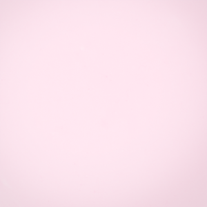 No 313 Transparent Beauty (4.5g)