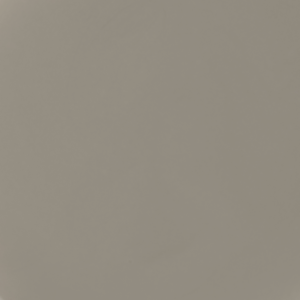 No 294 Oyster Shell (4.5g)