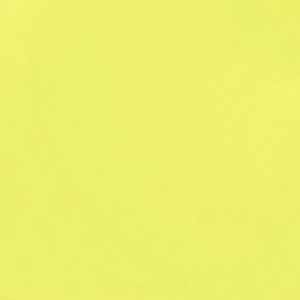 No 2338 Neon Zest (4.5g)